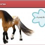A Virtual Horse - drágakő - Egy póni a játékból