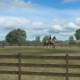 My Horse, egy lovas játék iPad-re
